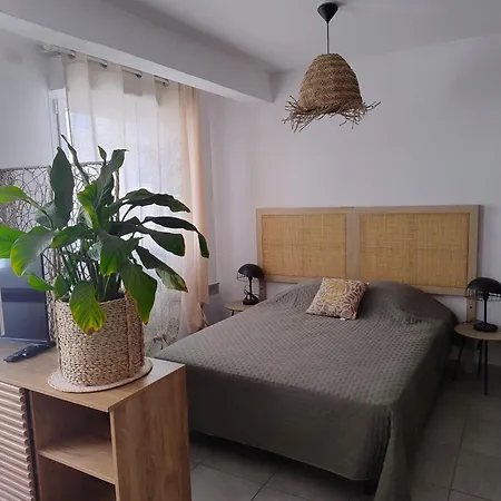 Le Boheme Proche Gare Apartment Perpignan